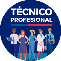 Técnico Profesional